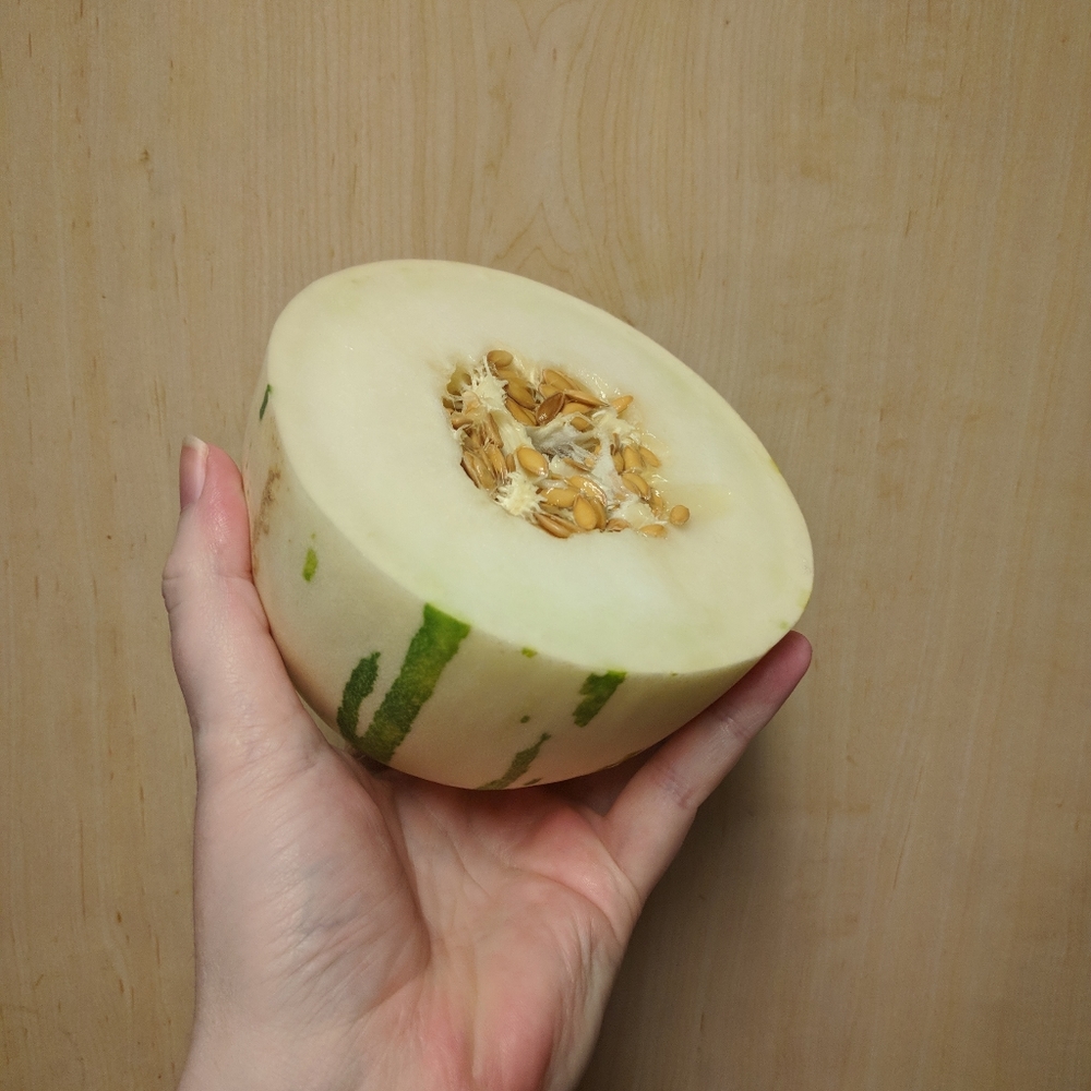 Gaya Melon Seeds